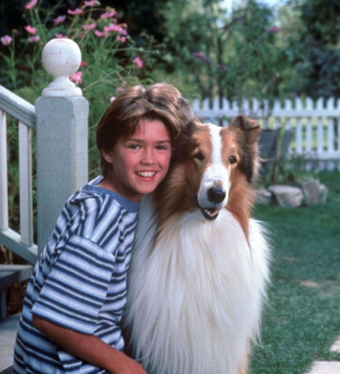 Lassie Do You Remember 